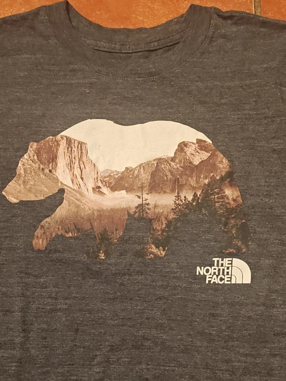 The North Face Men's Gray Graphic Bear T-Shirt